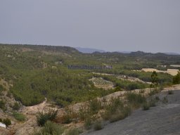 Castillo de Calasparra 2013